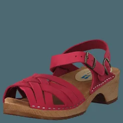 Mohedatoffeln Klara Red