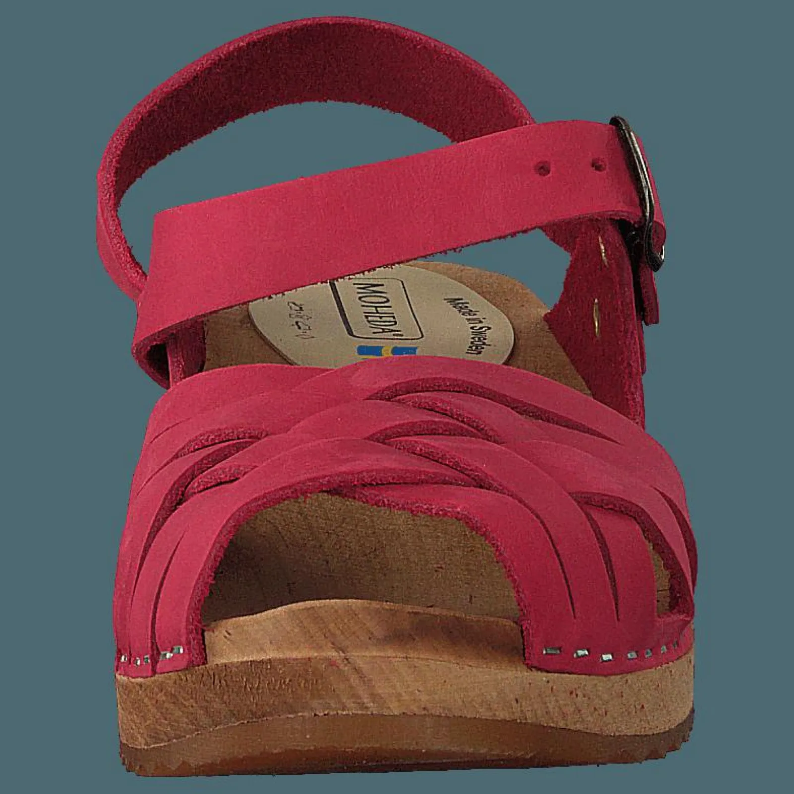 Mohedatoffeln Klara Red