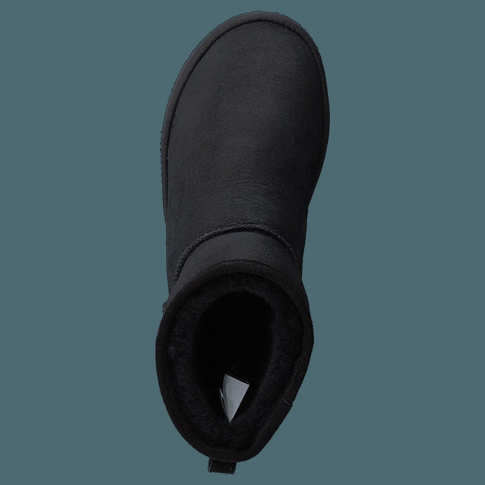 Shepherd Laura Black