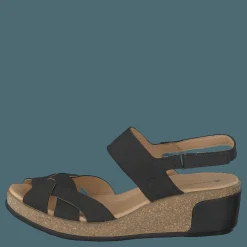 El Naturalista Leaves Black