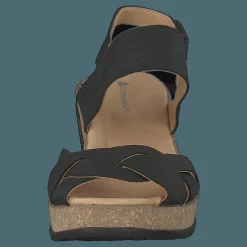 El Naturalista Leaves Black