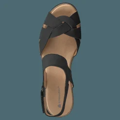 El Naturalista Leaves Black