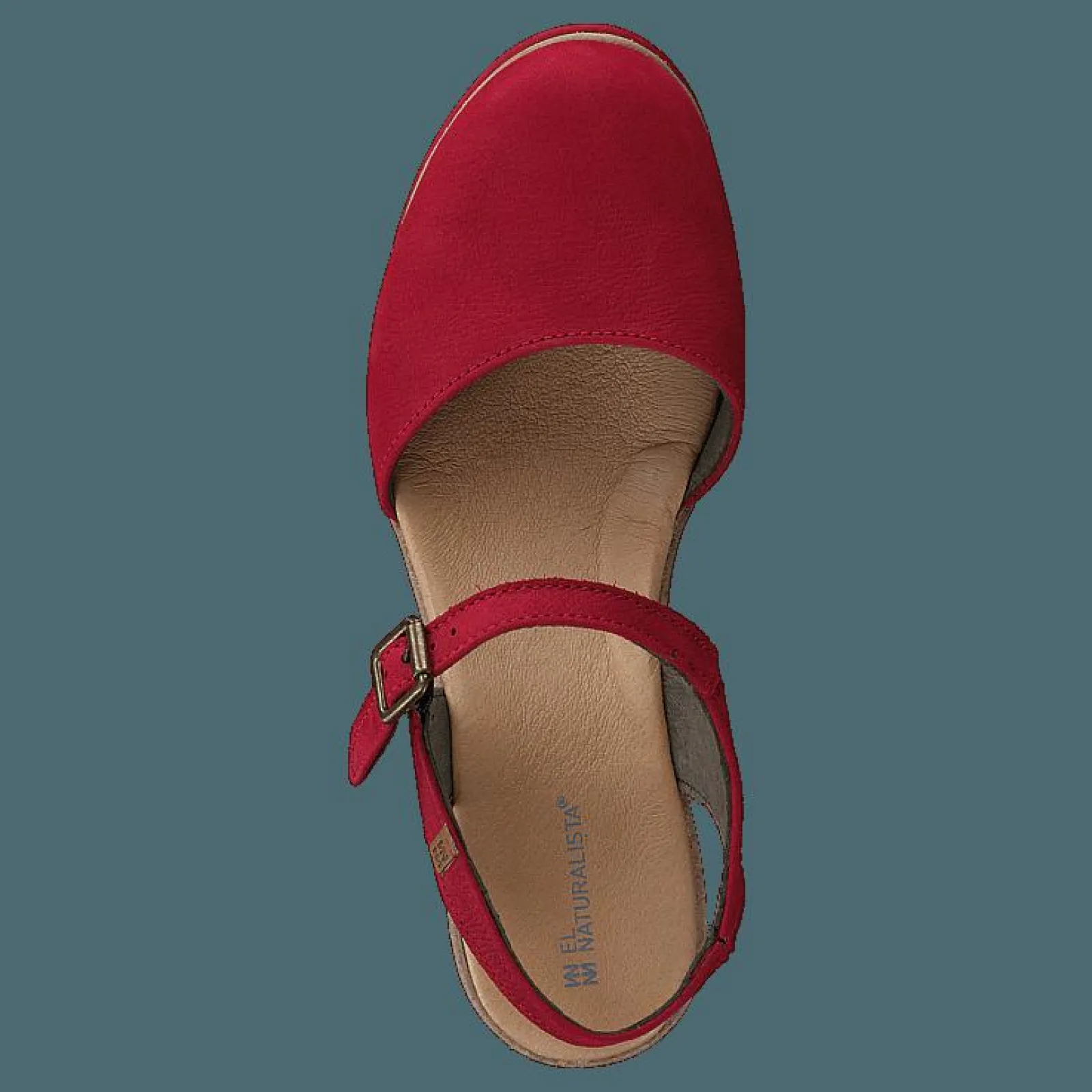 El Naturalista Leaves Pleasant Tibet