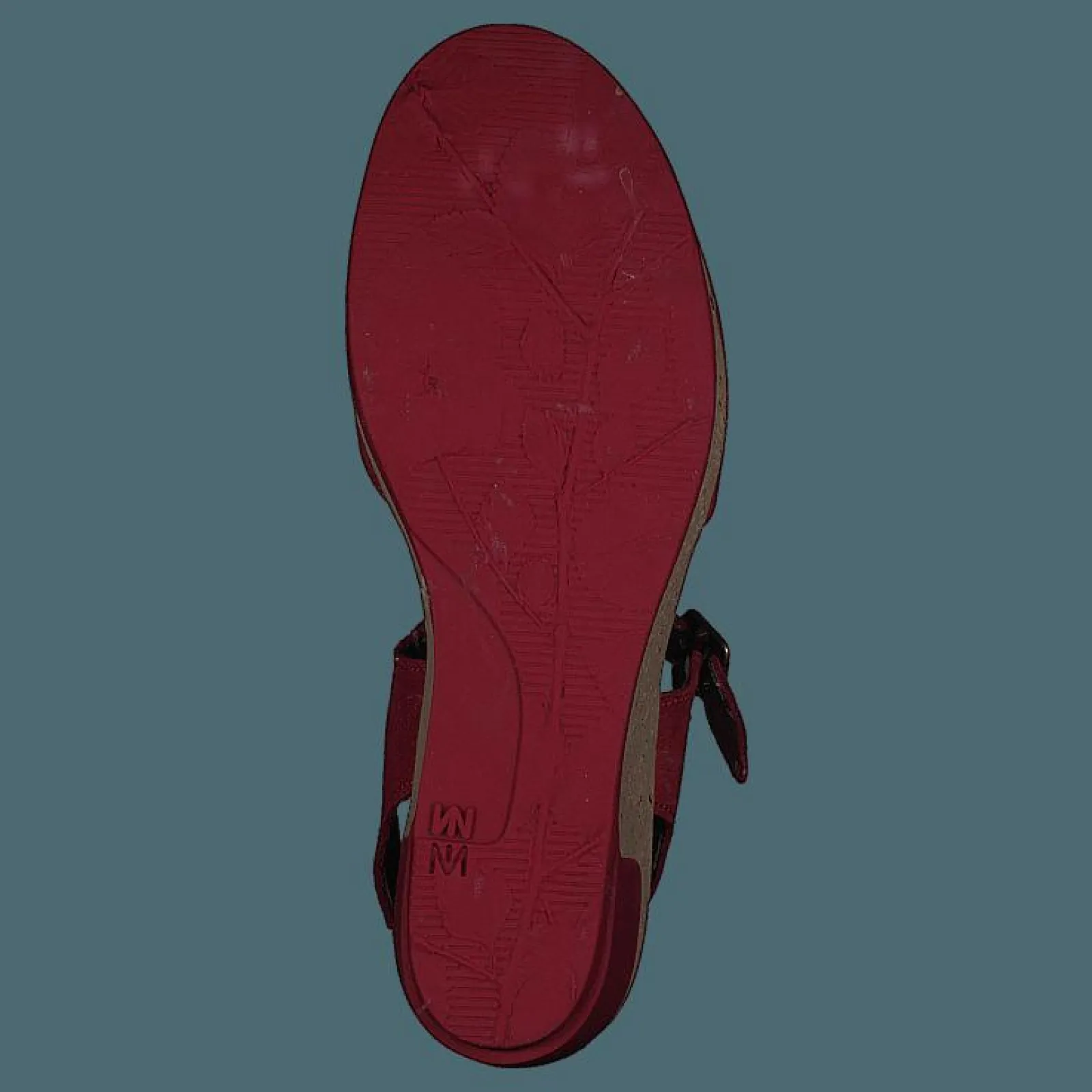 El Naturalista Leaves Pleasant Tibet