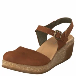 El Naturalista Leaves Wood