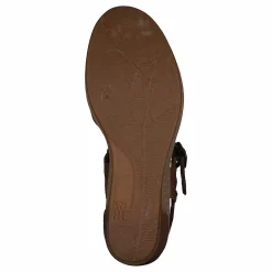 El Naturalista Leaves Wood