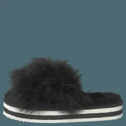 Shepherd Lilly Black