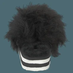 Shepherd Lilly Black