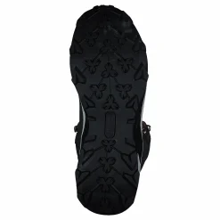 Champion Low Cut Shoe Mican Peat