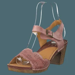 Wildflower Luciana Pink