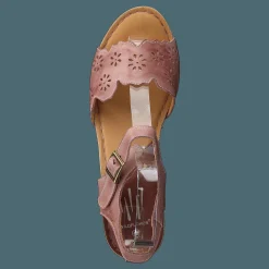 Wildflower Luciana Pink