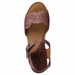 Wildflower Luciana Pink 16