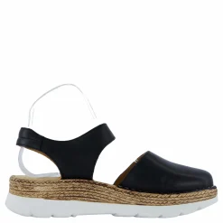 Ten Points Maya Black