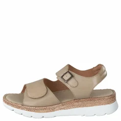 Ten Points Maya Cappuccino