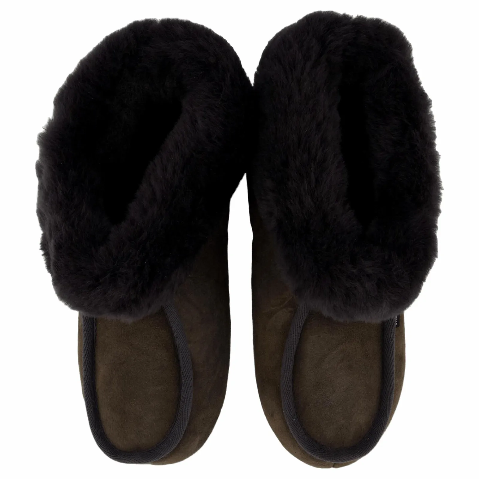 Shepherd Moa Asphalt