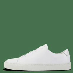 Sneaky Steve Moore 43