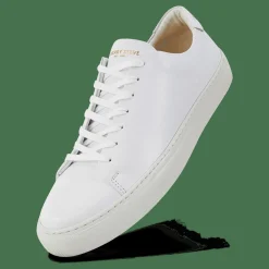 Sneaky Steve Moore 43