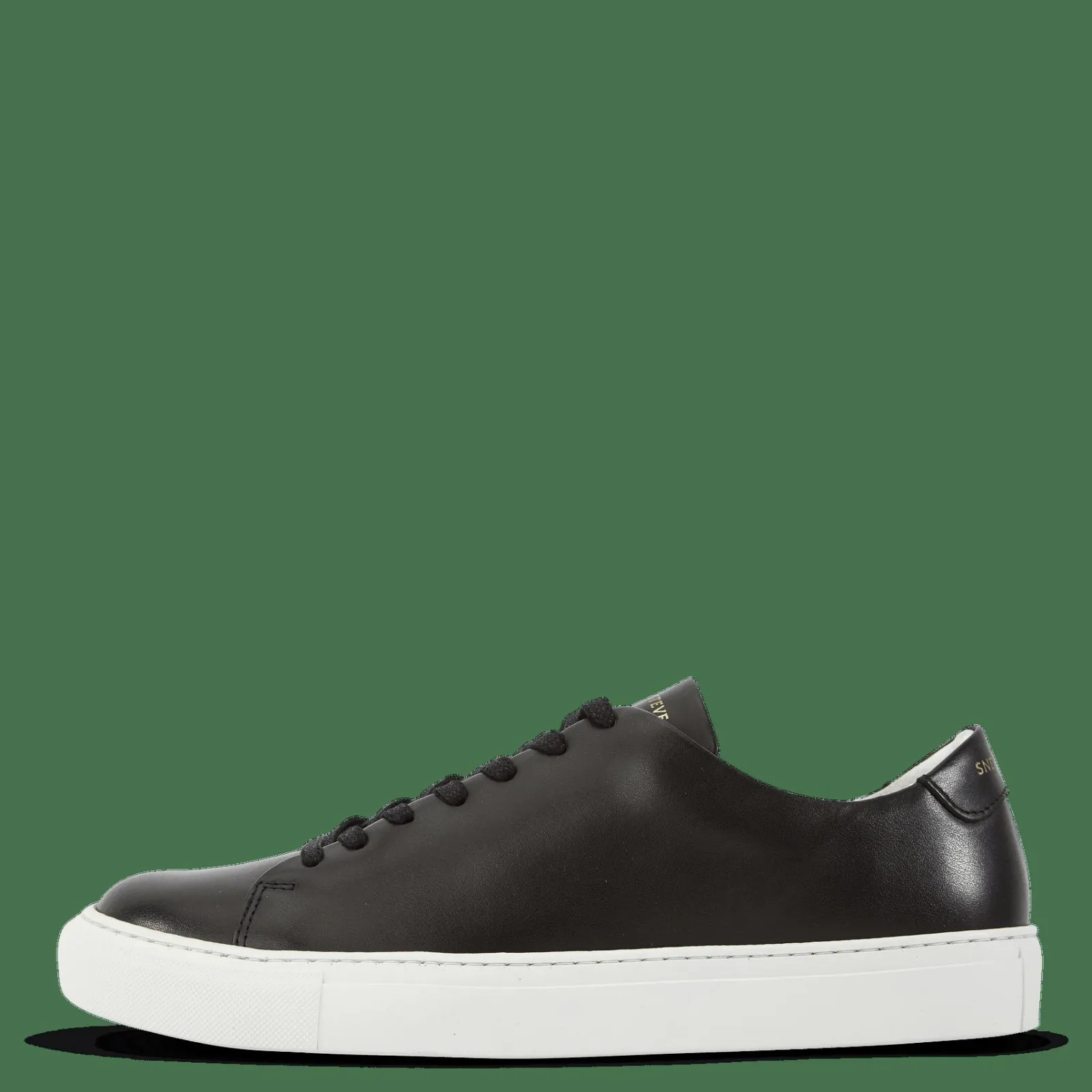 Sneaky Steve Moore 1