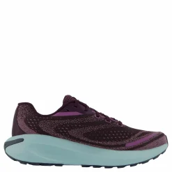 Merrell Morphlite Gtx Plum