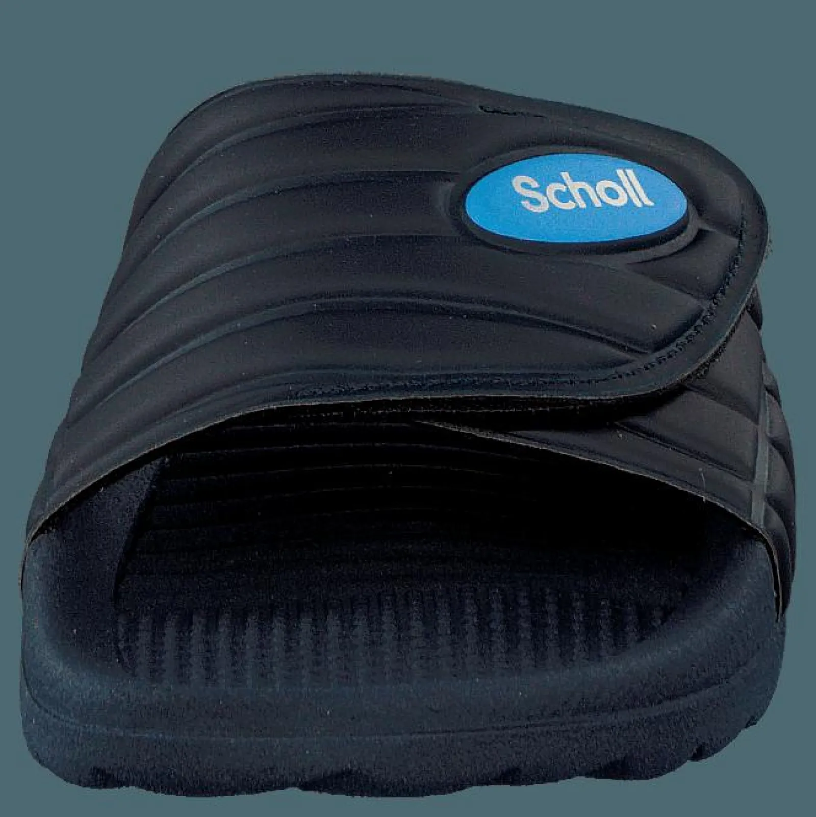 Scholl Nautilus