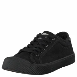 Palladium Pallaphoenix Og Cvs Black
