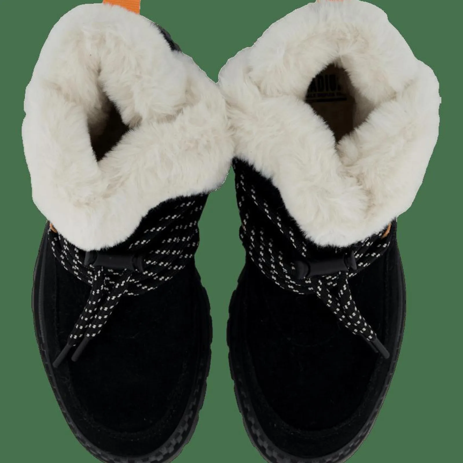 Palladium Pallashock Lo Hiver