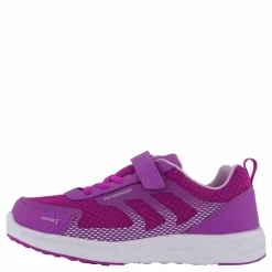 Barn Pax Perry Purple