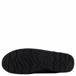 Wildflower Phillis Black