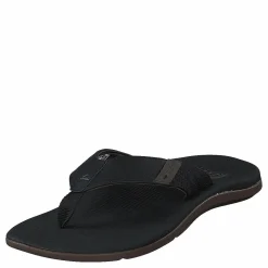 Reef Santa Ana Black