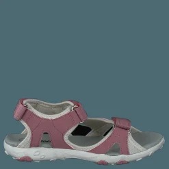 Barn Kavat Rio Tx Ash Rose