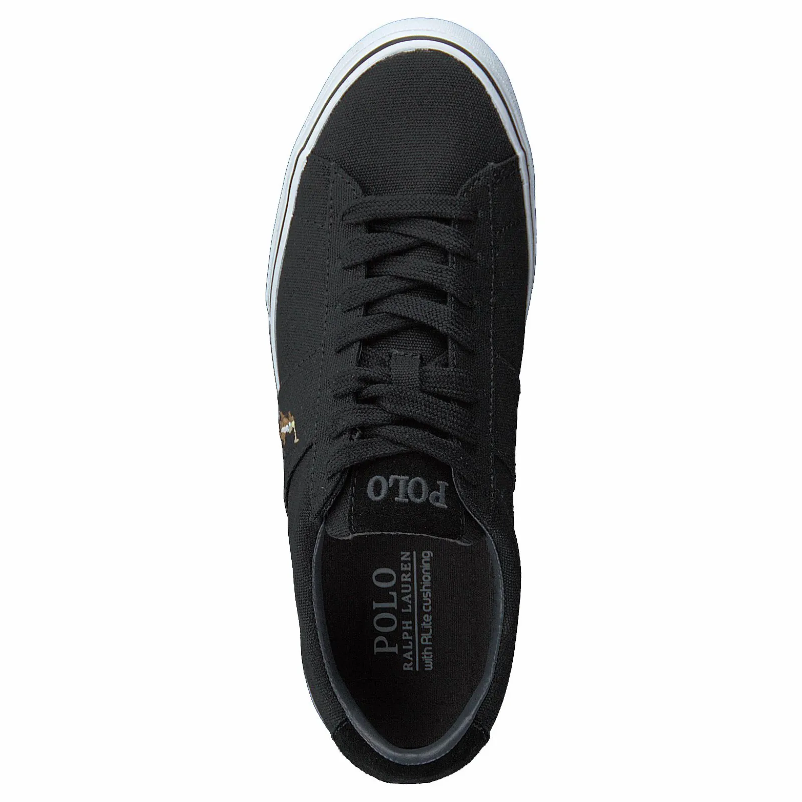 Polo Ralph Lauren Sayer Canvas Sneaker Black
