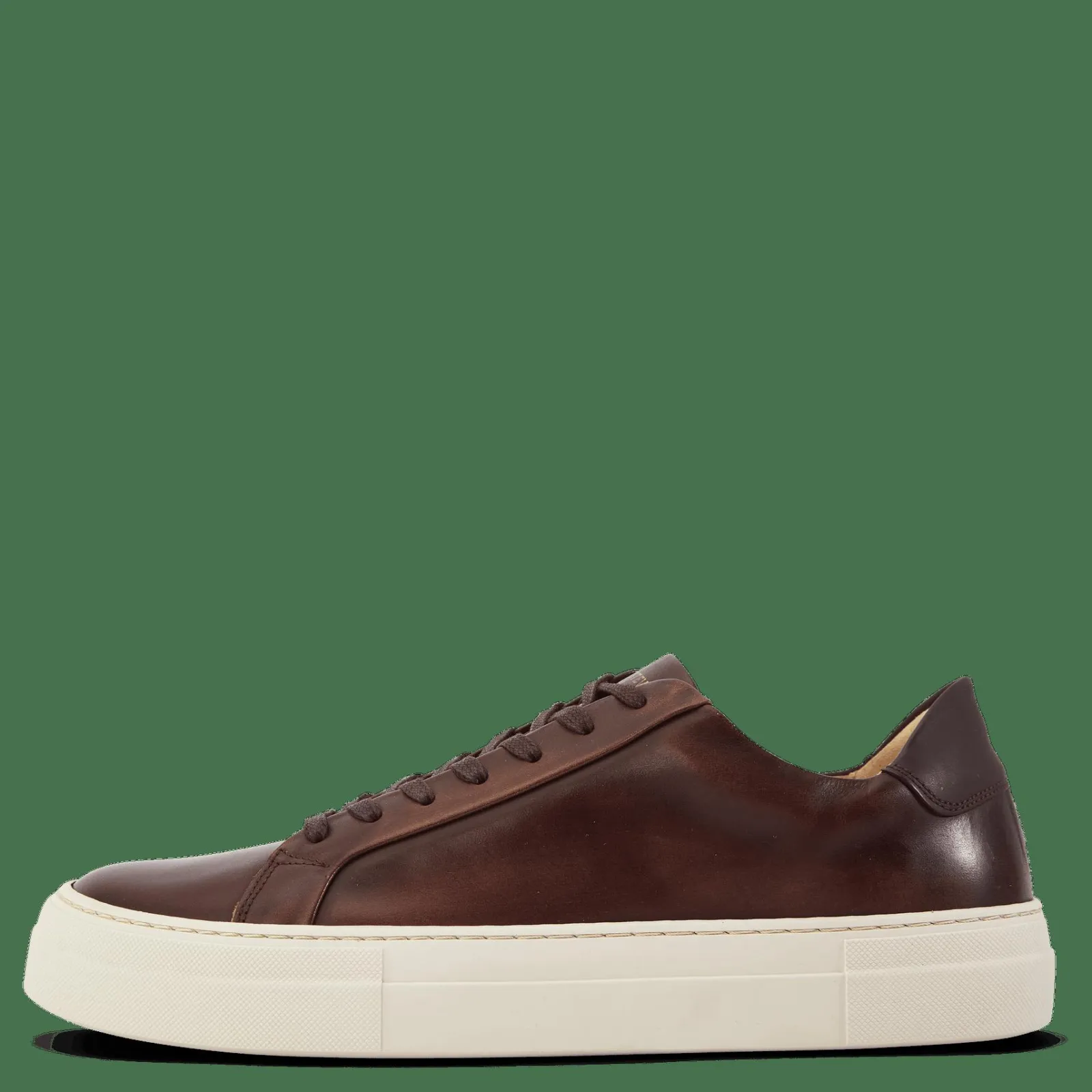 Sneaky Steve Shame 65 Brush