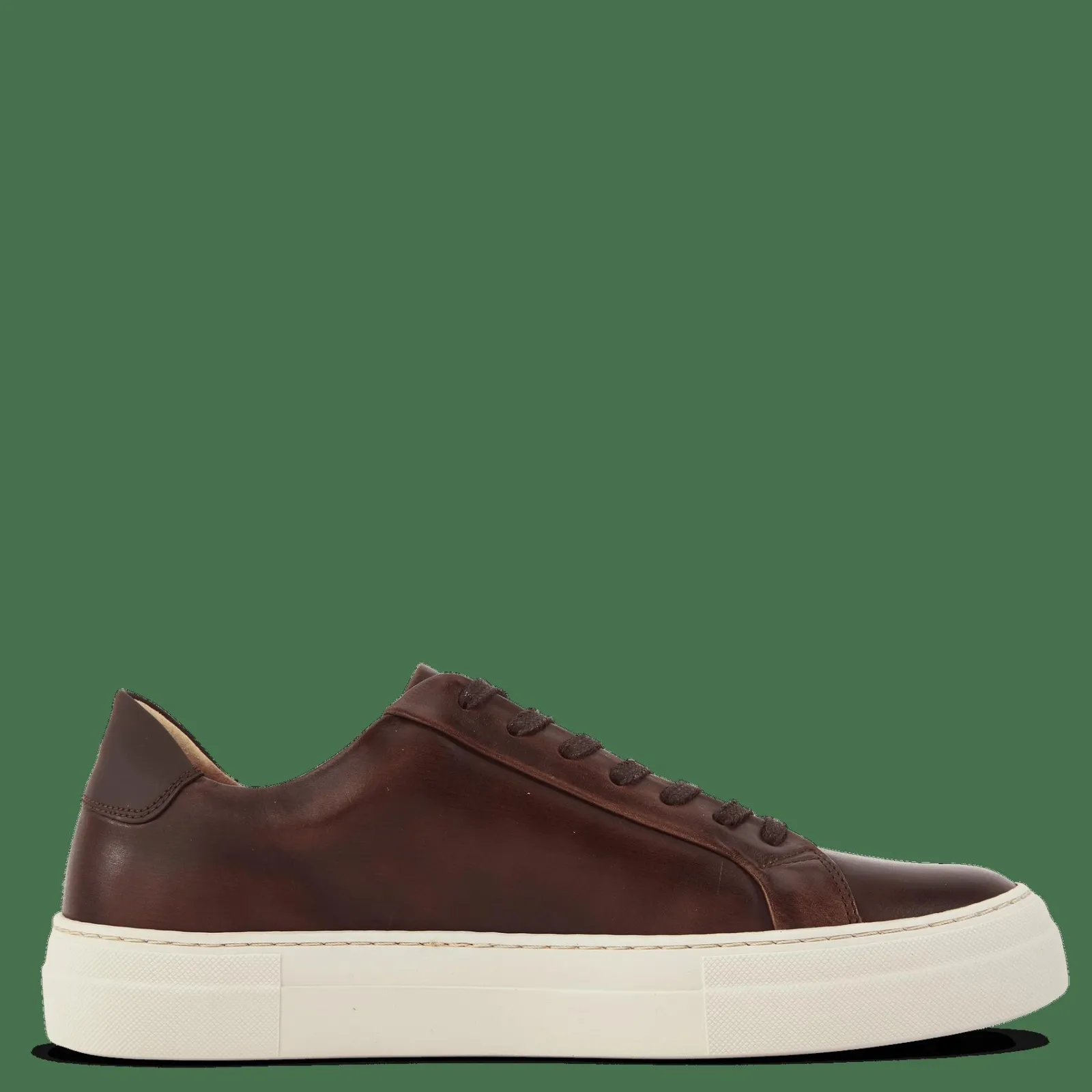 Sneaky Steve Shame 65 Brush