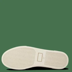 Sneaky Steve Shame 65 Brush