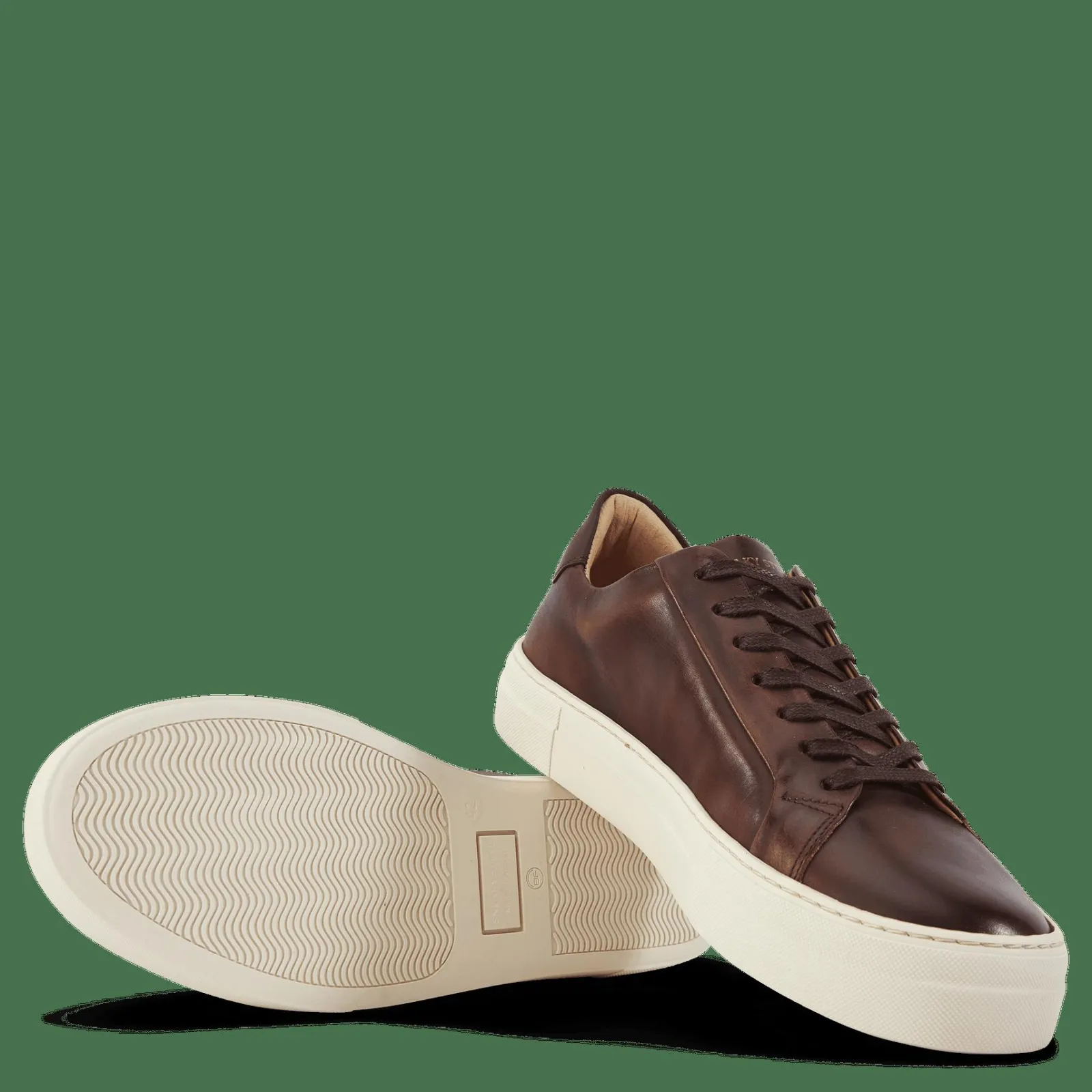 Sneaky Steve Shame 65 Brush