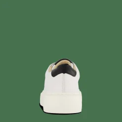 Sneaky Steve Starlight 218