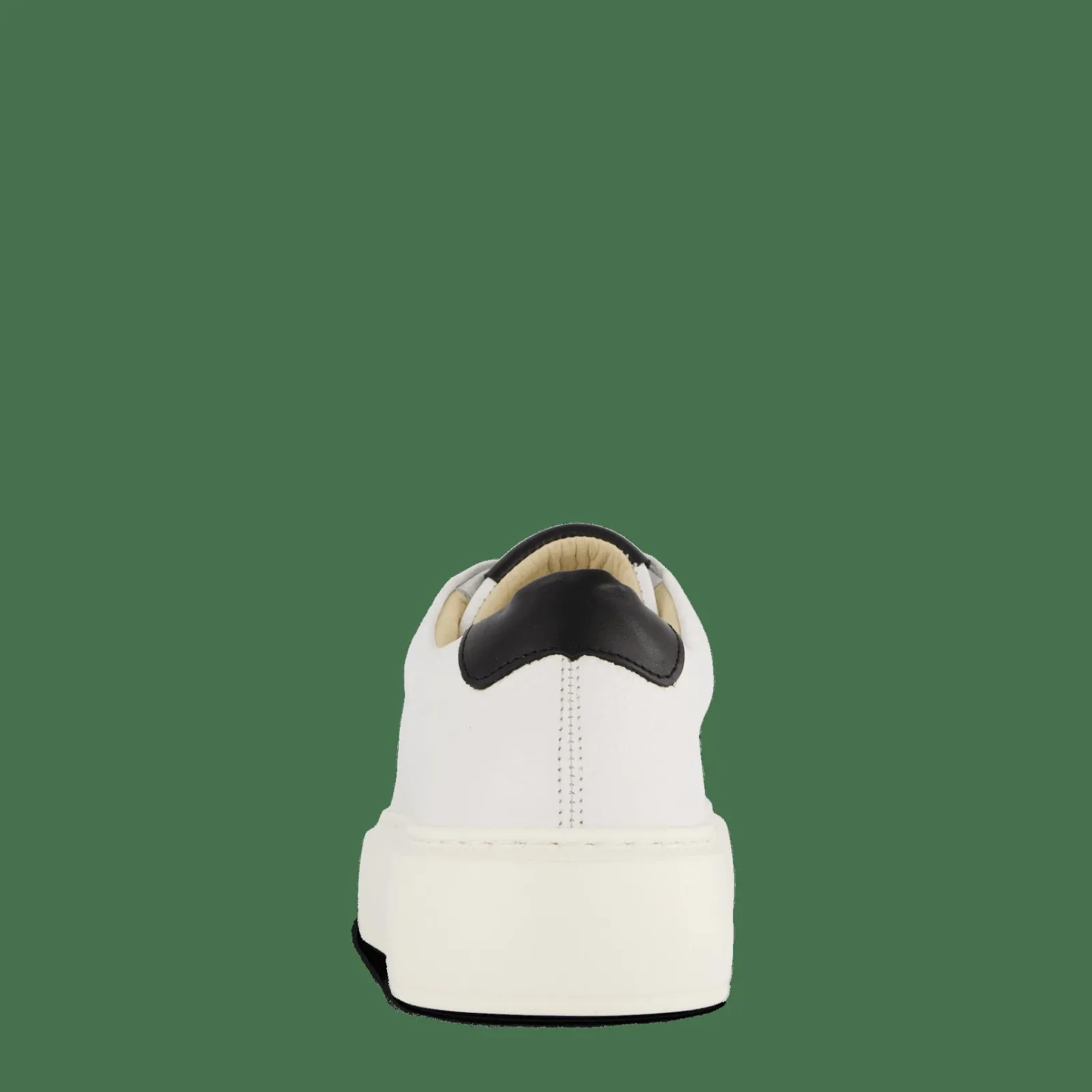 Sneaky Steve Starlight 218