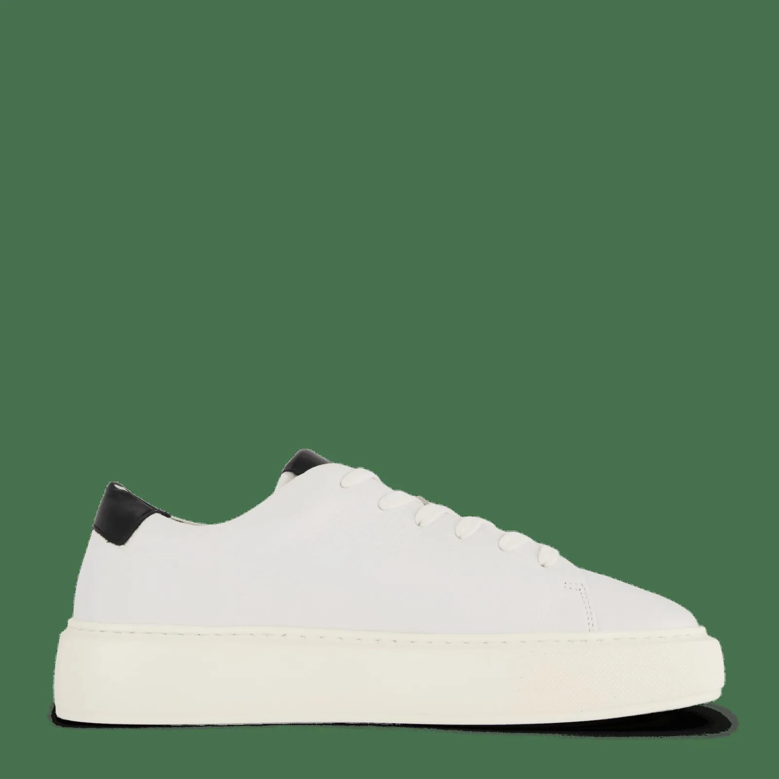 Sneaky Steve Starlight 218