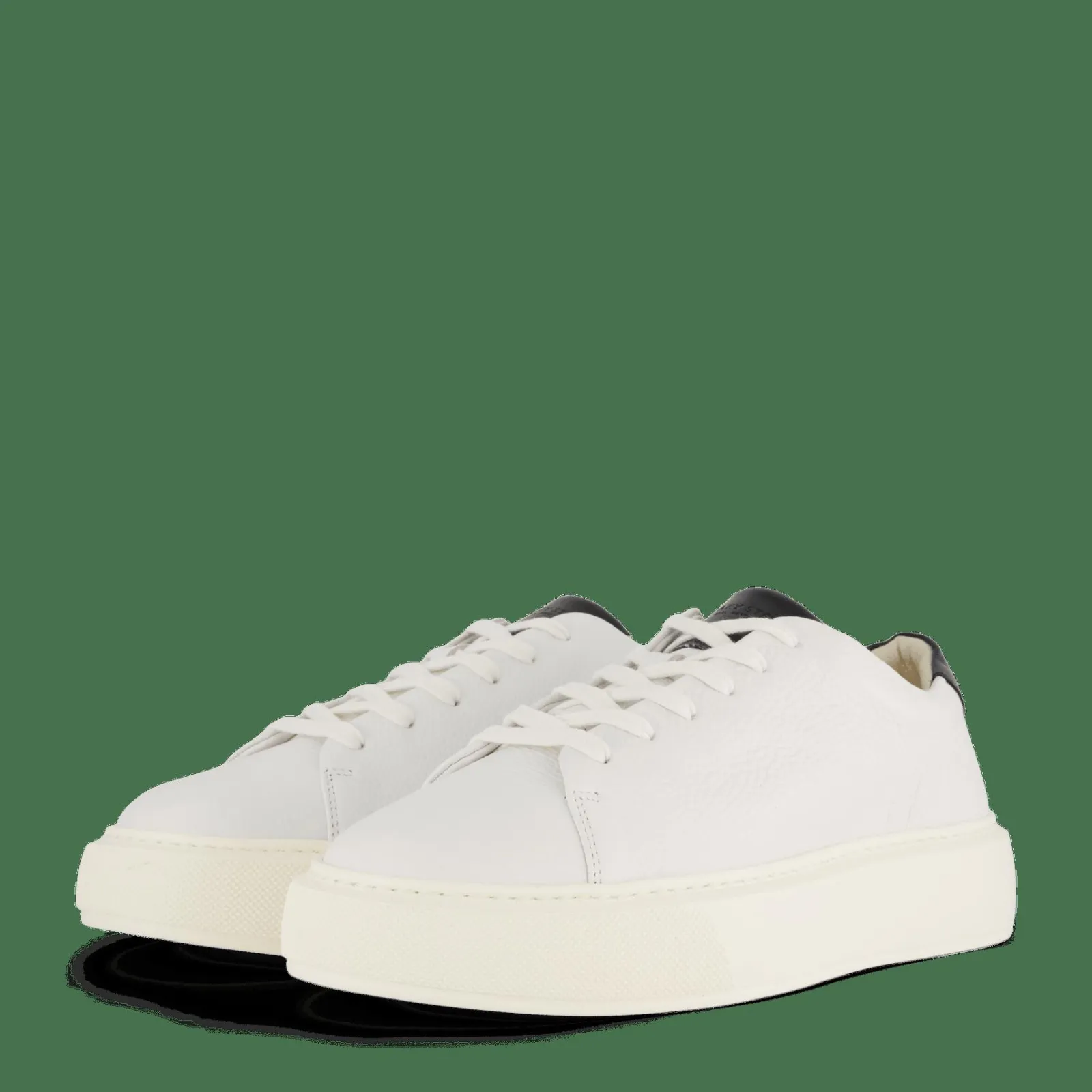 Sneaky Steve Starlight 218