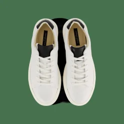 Sneaky Steve Starlight 218