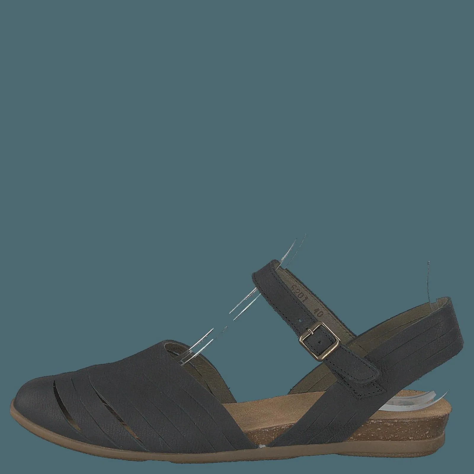 El Naturalista Stella Black