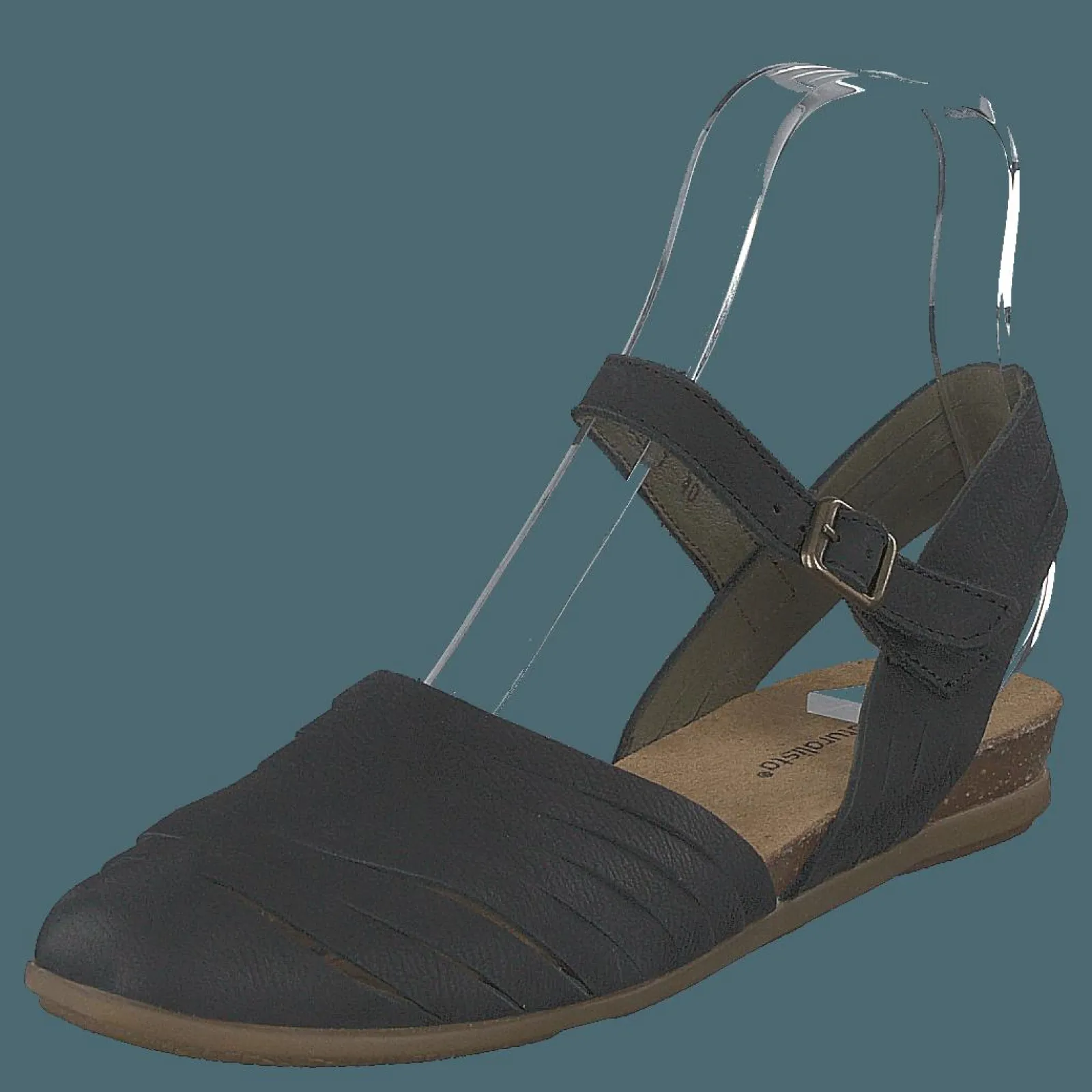 El Naturalista Stella Black