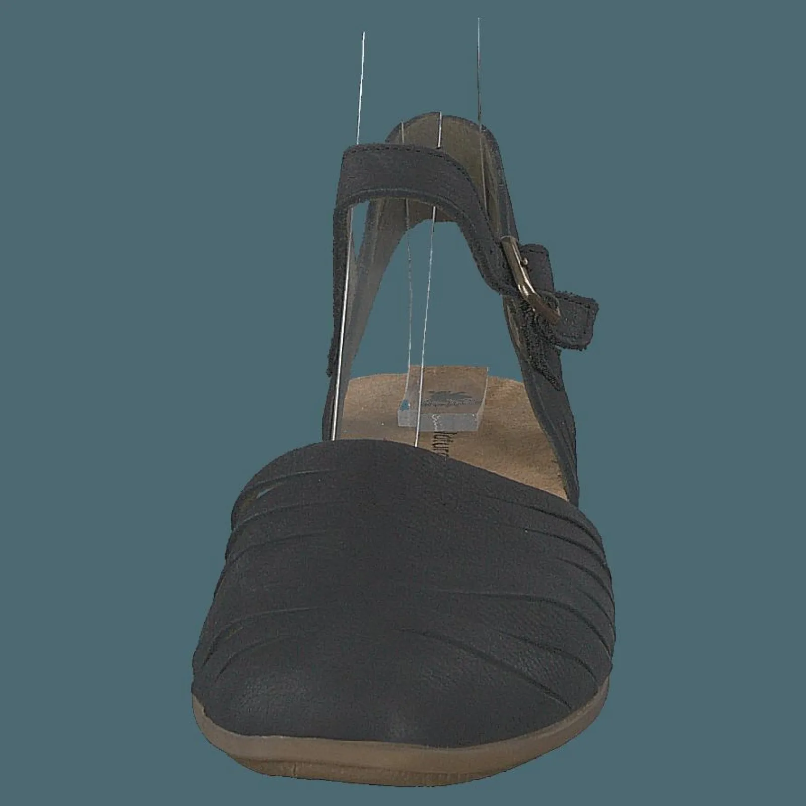 El Naturalista Stella Black