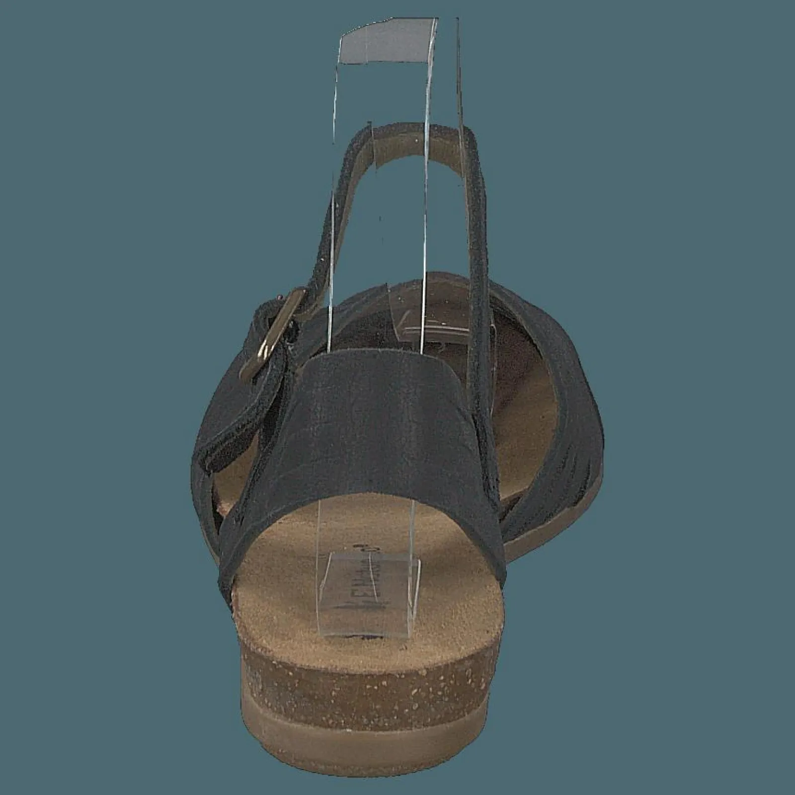 El Naturalista Stella Black