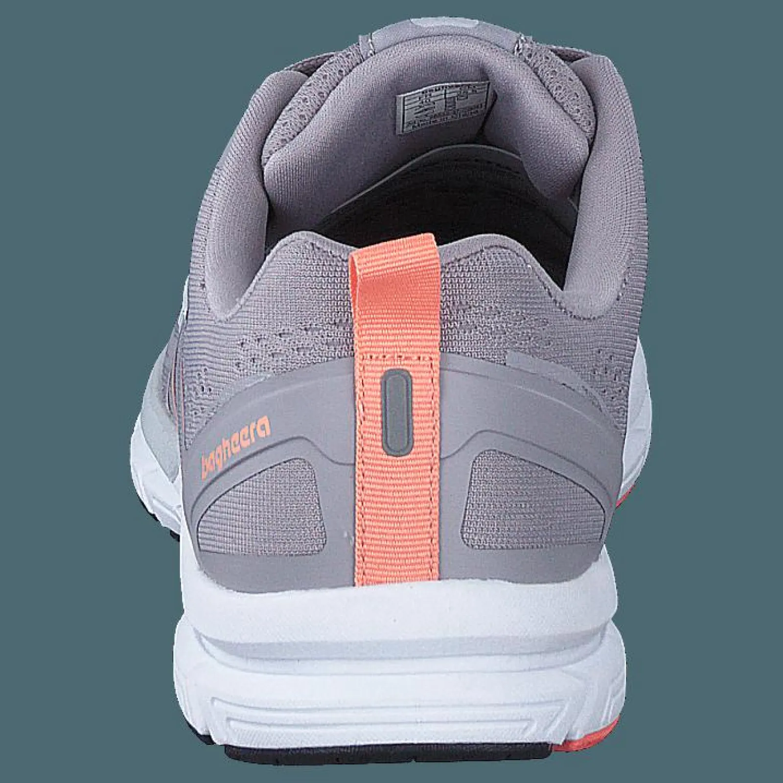 Bagheera Storm Lavender/pink