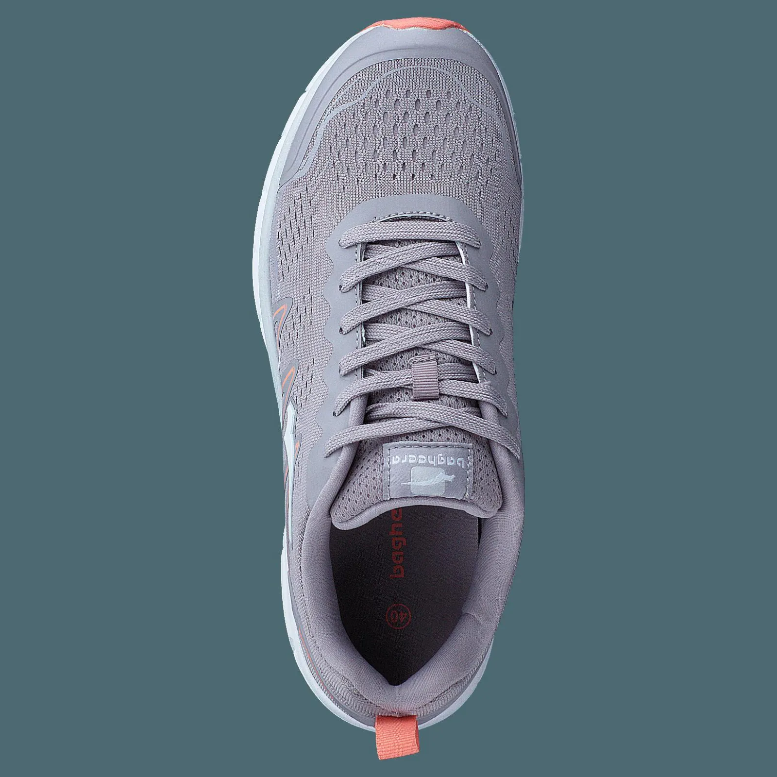 Bagheera Storm Lavender/pink