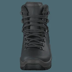 Graninge STORSOLA Dark Brown