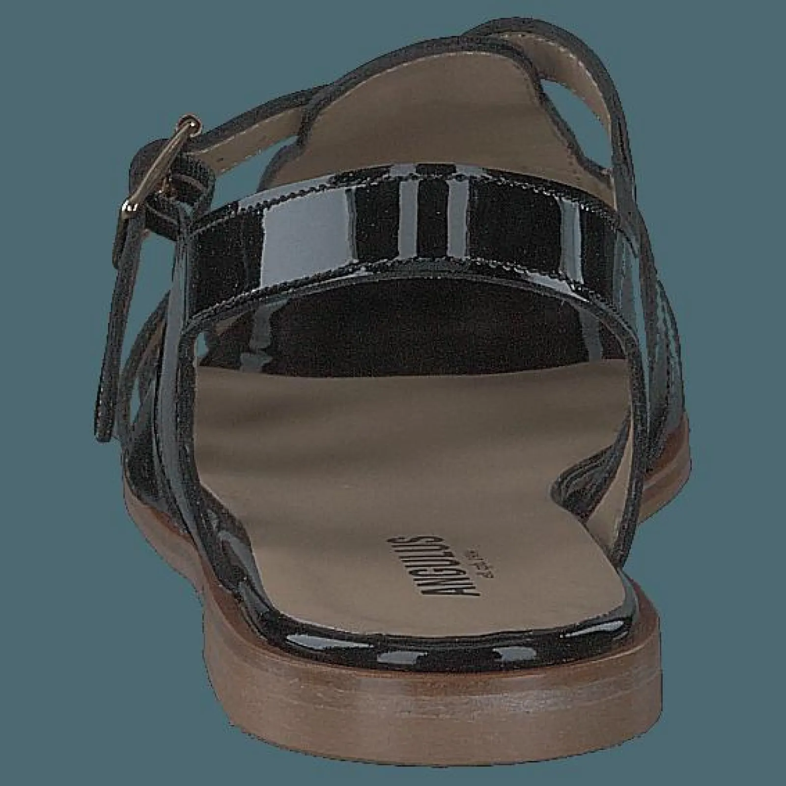 Angulus Strap Sandal With Buckle Black