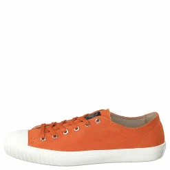 Sneaky Steve Swing Low Burned