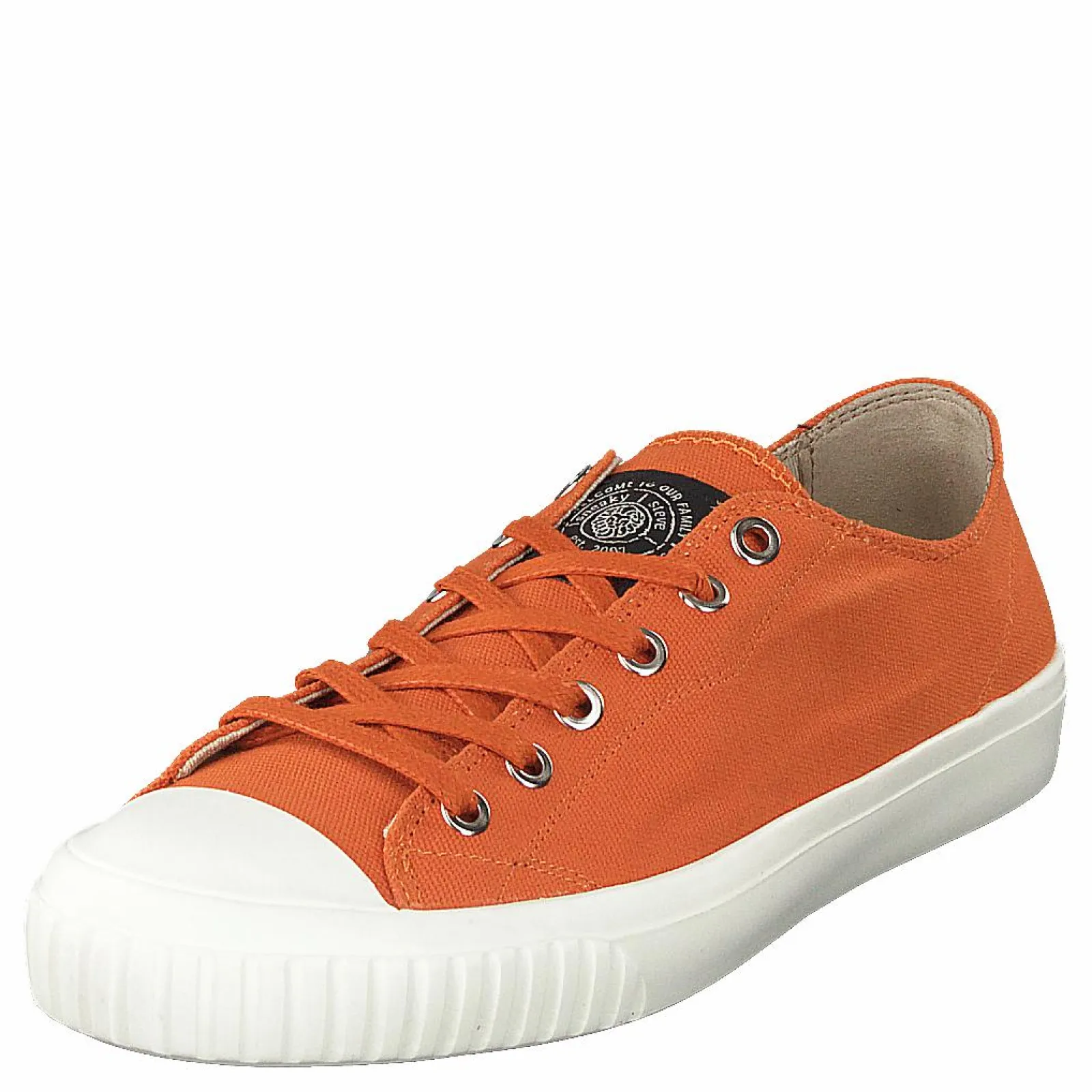 Sneaky Steve Swing Low Burned